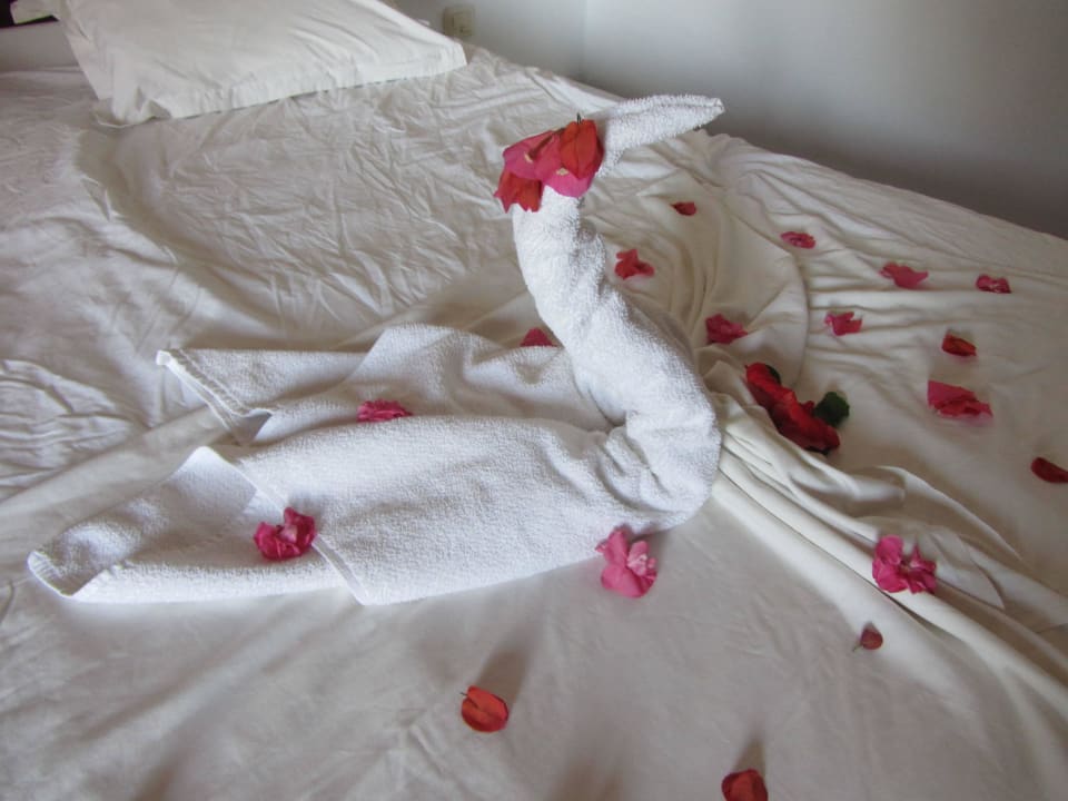 Jeden Tag anders Caribbean World Thalasso Djerba