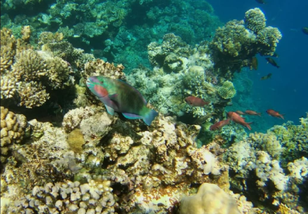 Strand Bliss Nada Beach Resort