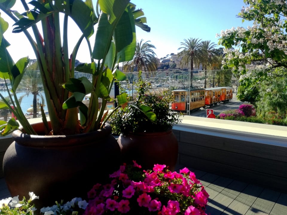 Pool Hotel Eden Soller