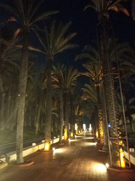 Gartenanlage Monachus Family Resort Sorgun