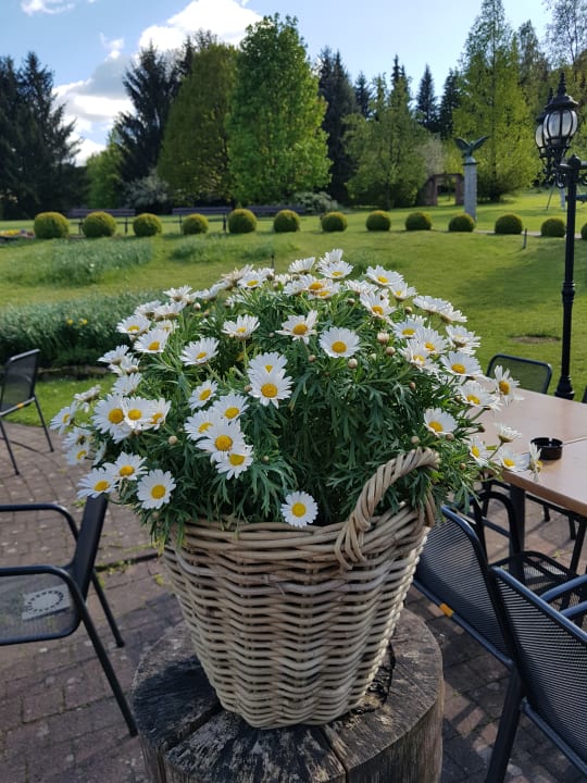 Gartenanlage Best Western Hotel Brunnenhof