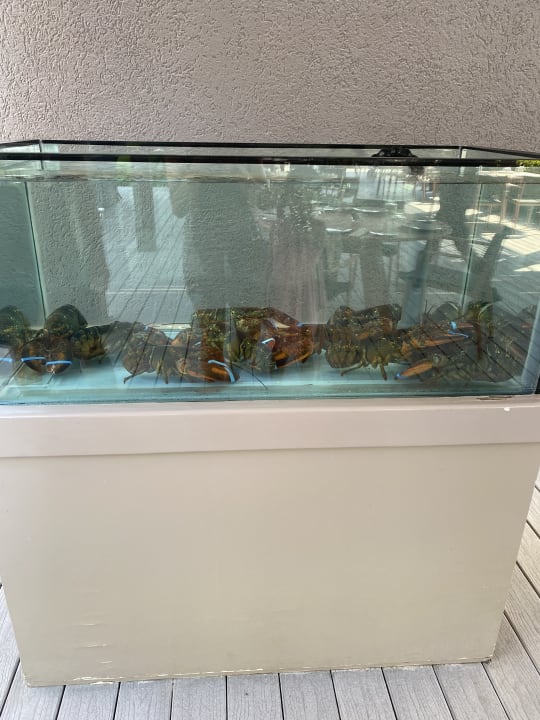 Gastro Maxx Royal Belek Golf Resort