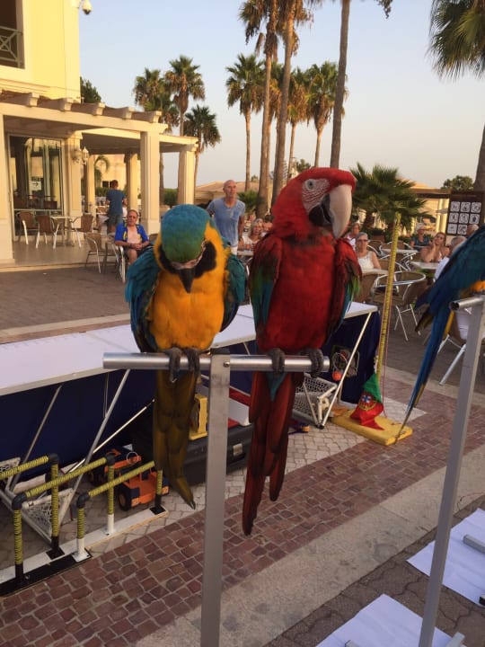 Sonstiges AP Adriana Beach Resort