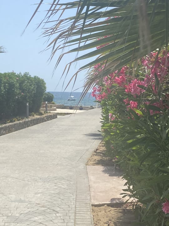 Ausblick Sandy Beach Resort