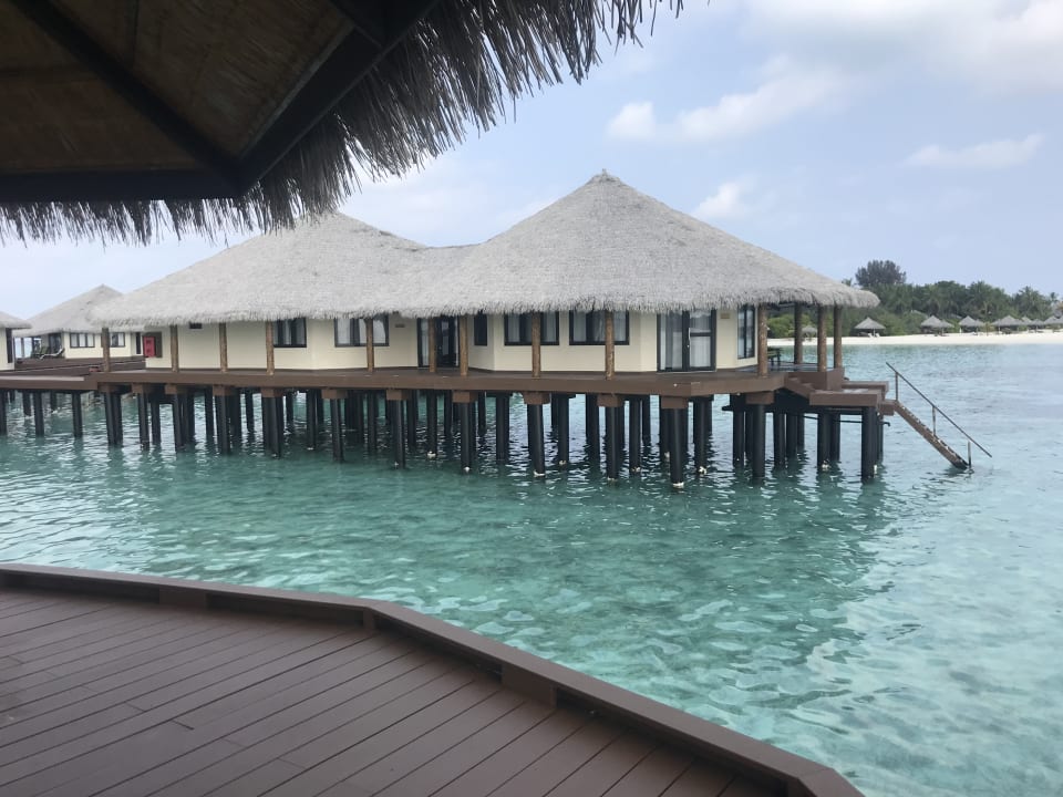 Ausblick Kihaa Maldives