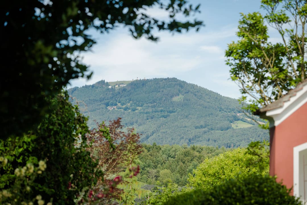 Unser Hausberg: Der Kulm Wohnungen Fetz