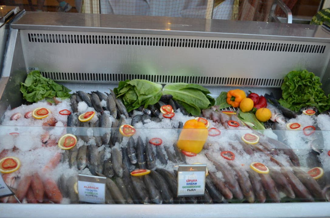 Fischtheke Hotel Delphin Diva