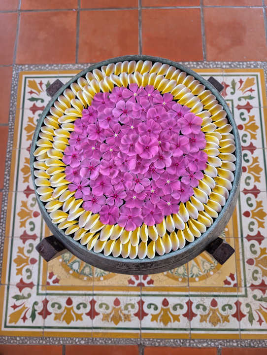 Lobby Pandanus Resort