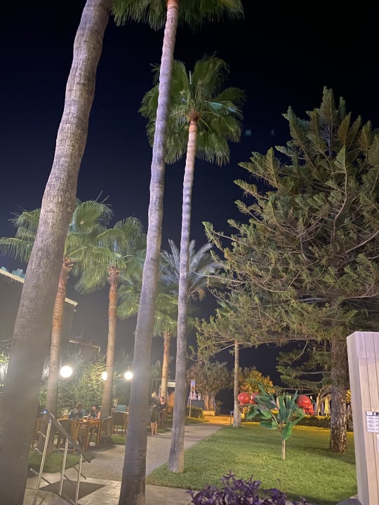 Gartenanlage Nerton Hotel - Erwachsenenhotel ab 16 Jahren