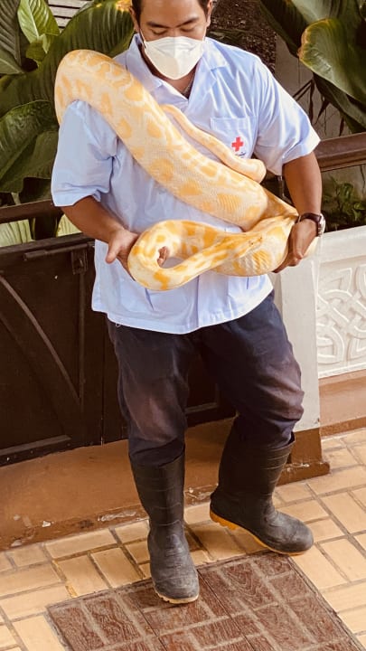 Sport & Freizeit Hotel Banyan Tree Bangkok