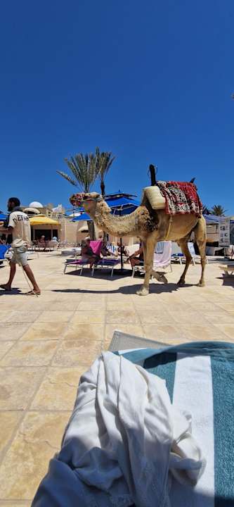 Sonstiges Royal Karthago Djerba