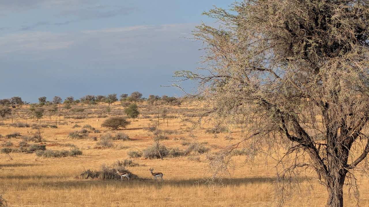 Gartenanlage Jansen Kalahari Guest Farm