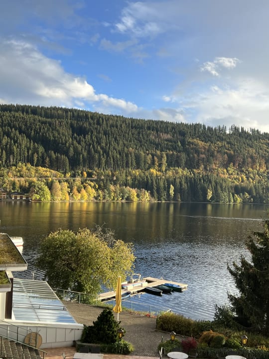 Ausblick Treschers Schwarzwald Hotel