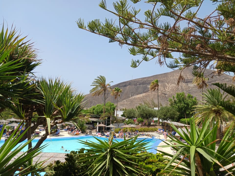 Pool allsun App.-Hotel Esquinzo Beach