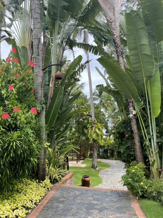 Gartenanlage Bamboo Village Beach Resort & Spa