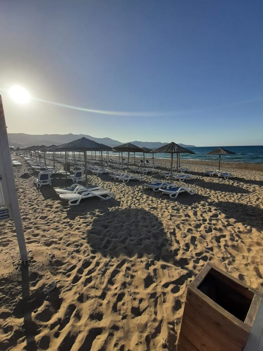 Strand Dessole Dolphin Bay Resort