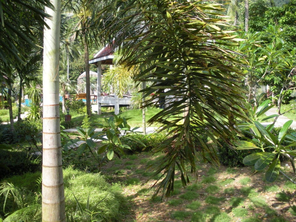 Hinterm Bungalow Koh Chang Bailan Beach Resort