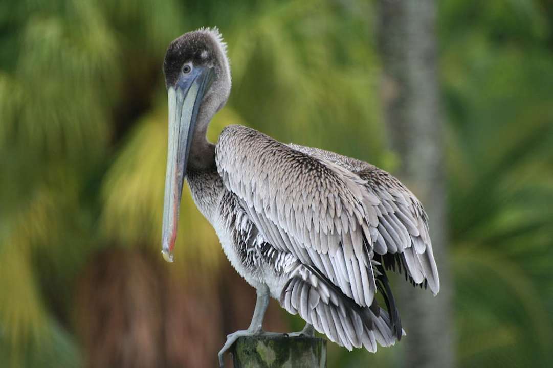 Blick von Veranda Casa Acuario