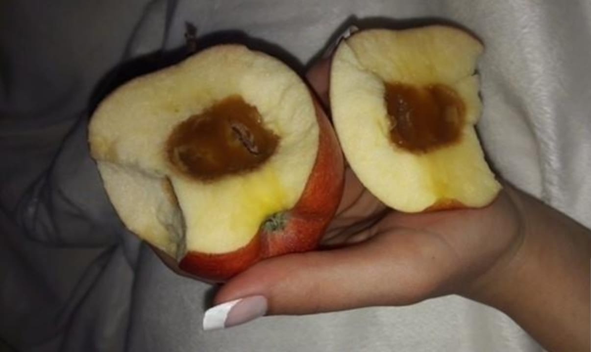 Gastro Hane Family Resort