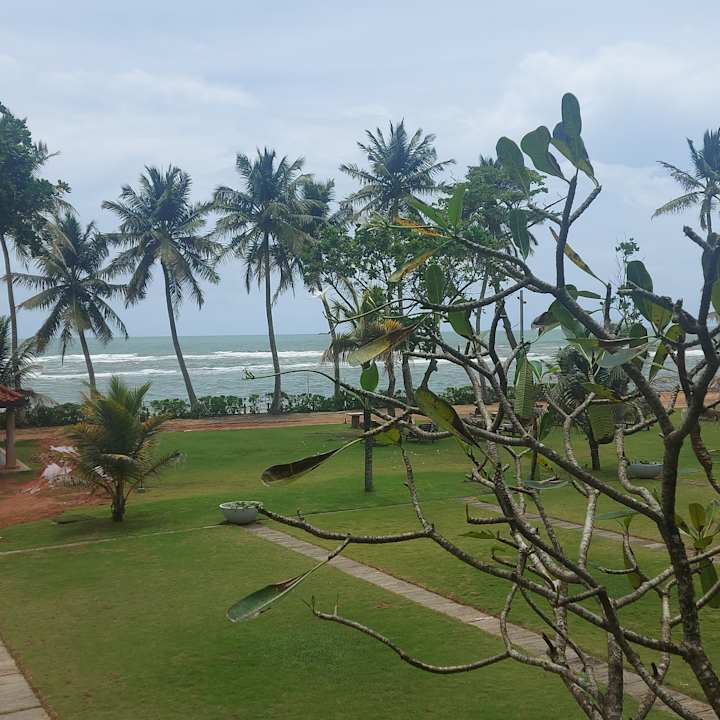 Ausblick Earl’s Reef Beruwala