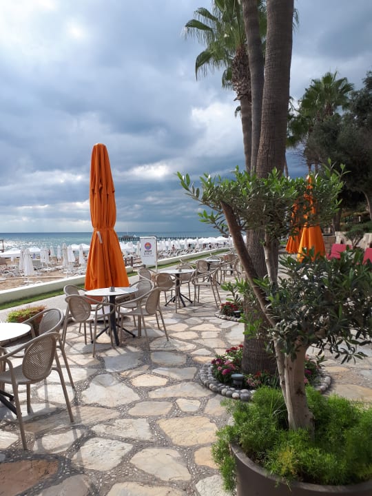 Gastro Arum Barut Collection