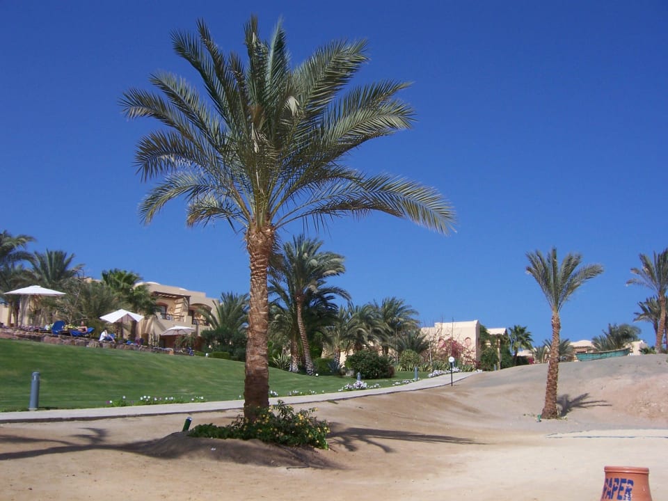 Hotel Iberotel Coraya Beach Steigenberger Coraya Beach - Adults only