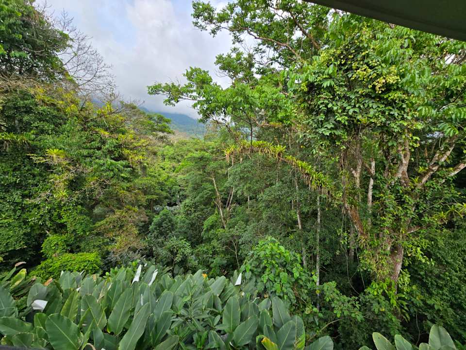 Zimmer Jungle Passion Lodge