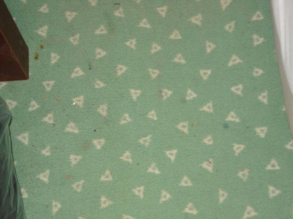 Der Teppich des Zimmers Falcon Hotel