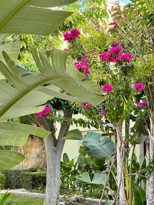 Gartenanlage Grecotel LUXME Kos