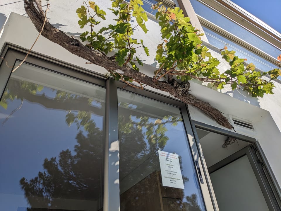 Zimmer Hotel Kakkos Bay