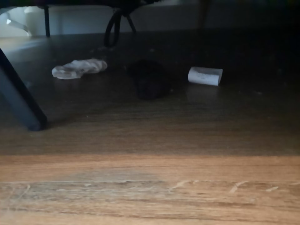 Zimmer NH Collection München Bavaria