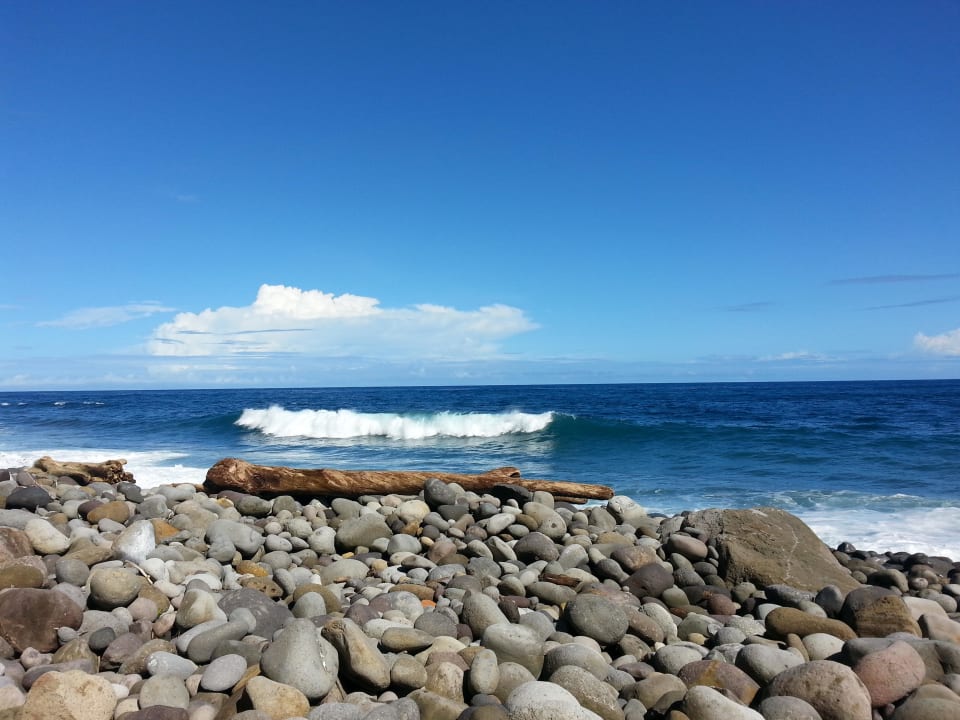 "Strand" Atlantikküste Hotel Jungle Bay Resort & Spa