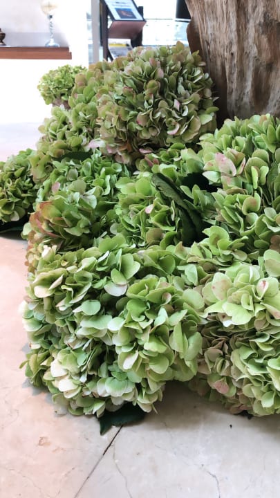 Gartenanlage Rixos The Palm Hotel & Suites