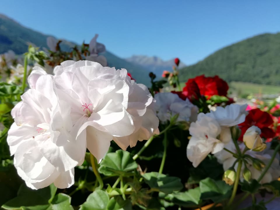 Ausblick Ferienhaus Sonnenhang