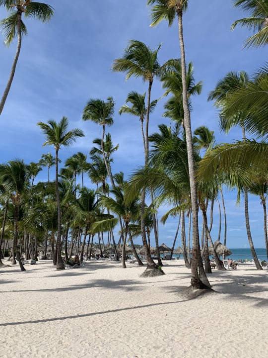 Strand Meliá Punta Cana Beach Resort - A Wellness Inclusive For Adults Only