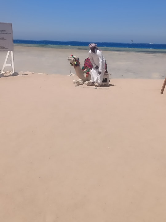 Strand Grand Waterworld Makadi & Family Star Makadi