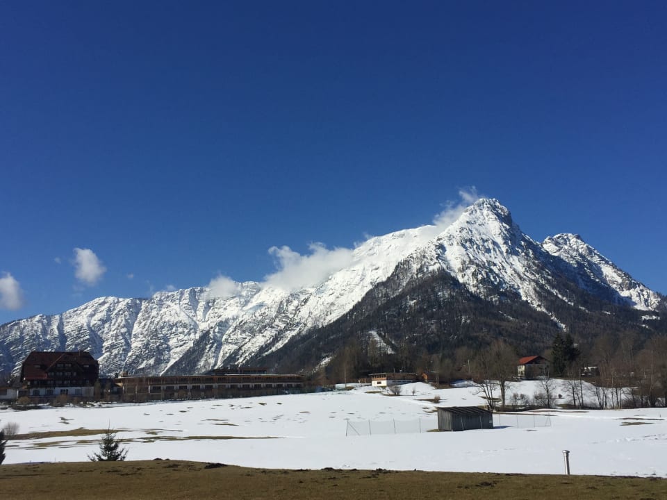 Ausblick Narzissen Vital Resort