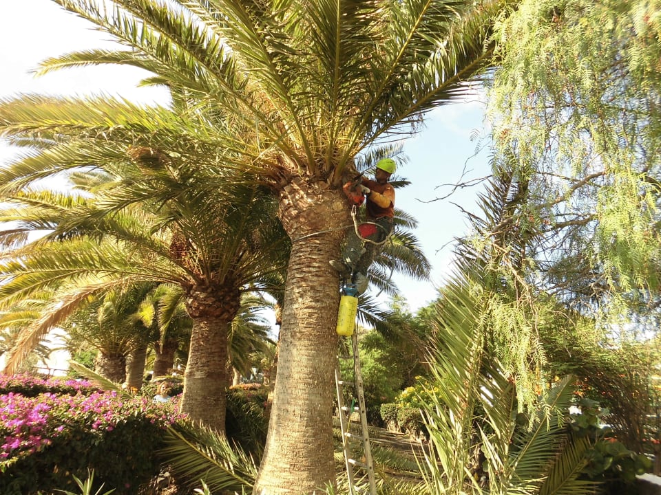 Manutenzione giardini Relaxia Olivina