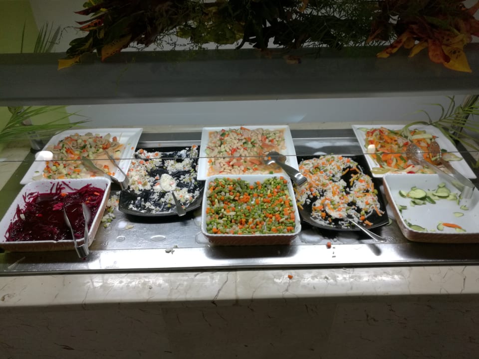 Gastro Starfish Cayo Guillermo