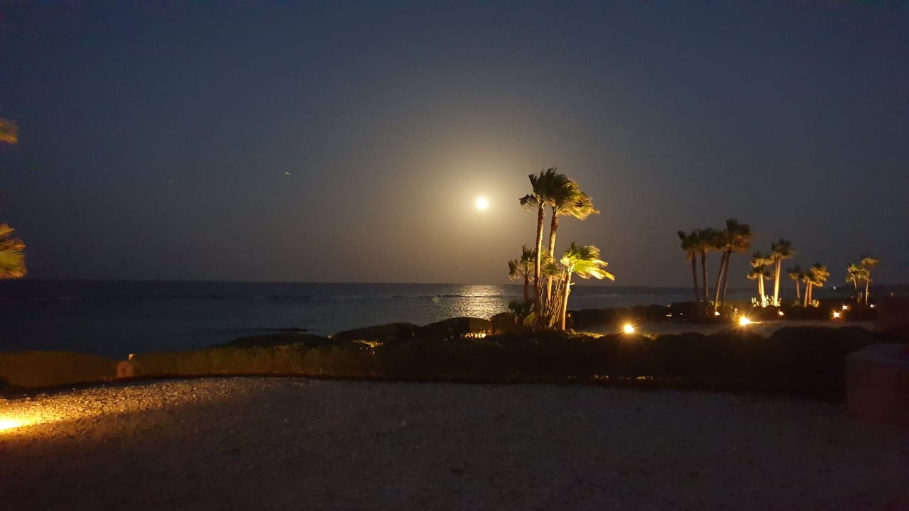 Ausblick Mövenpick Resort El Quseir