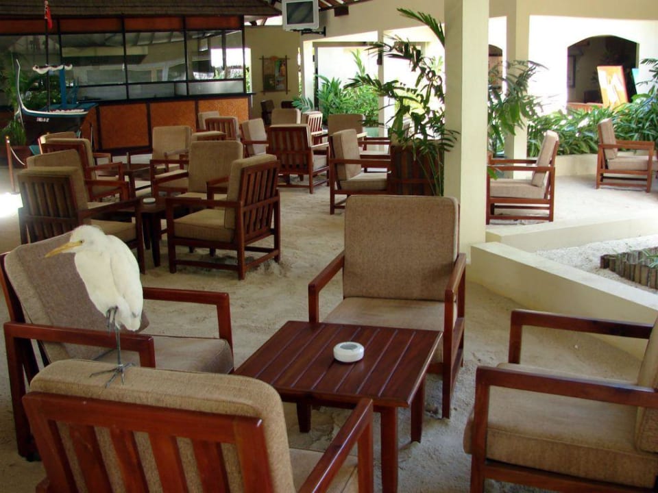 "Heinrich" im Coffee Shop Summer Island Maldives