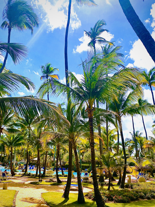 Strand Meliá Caribe Beach Resort-All Inclusive