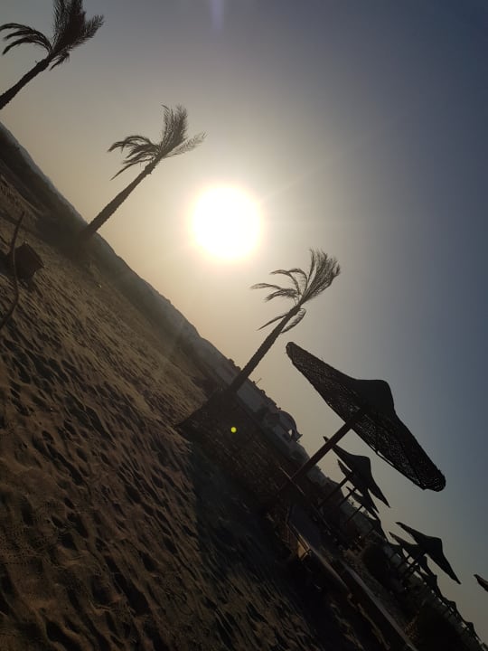 Strand Three Corners Equinox Beach Resort