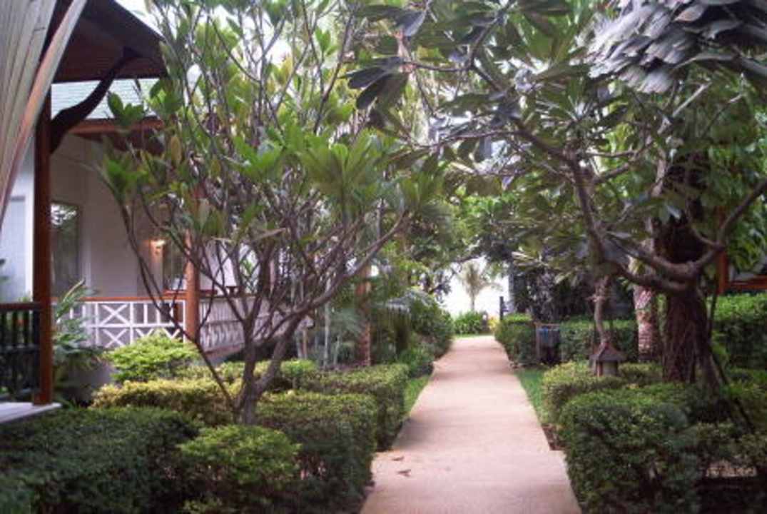 Anlage in Richtung Strand Banana Fan Sea Resort