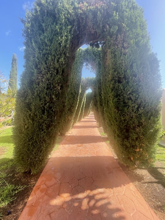 Gartenanlage allsun Hotel Esplendido