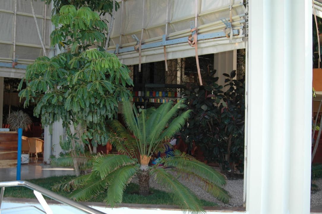 Bar von außen - immer luftig Blau varadero - Adults only