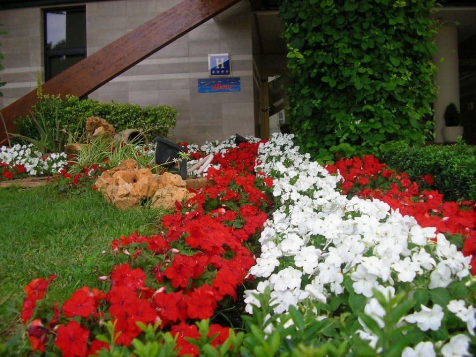 Eingang Marfil Playa, Blumen Welikehotel Marfil Playa