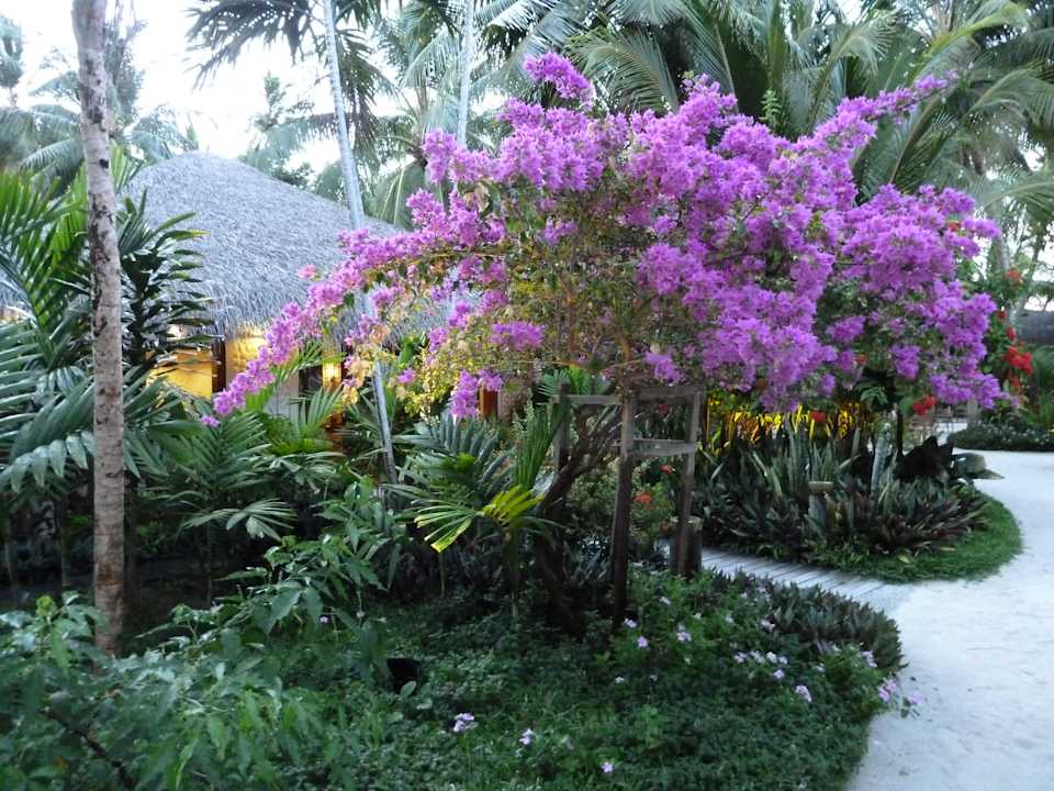 Weg durch die Hotelanlage Kuramathi Maldives