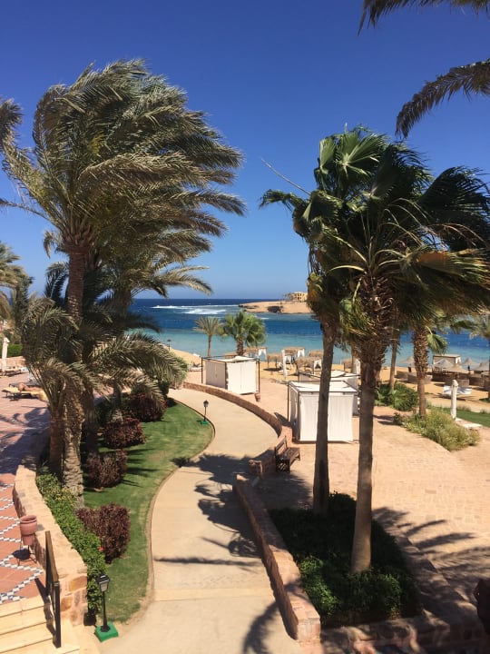 Ausblick Steigenberger Coraya Beach - Adults only