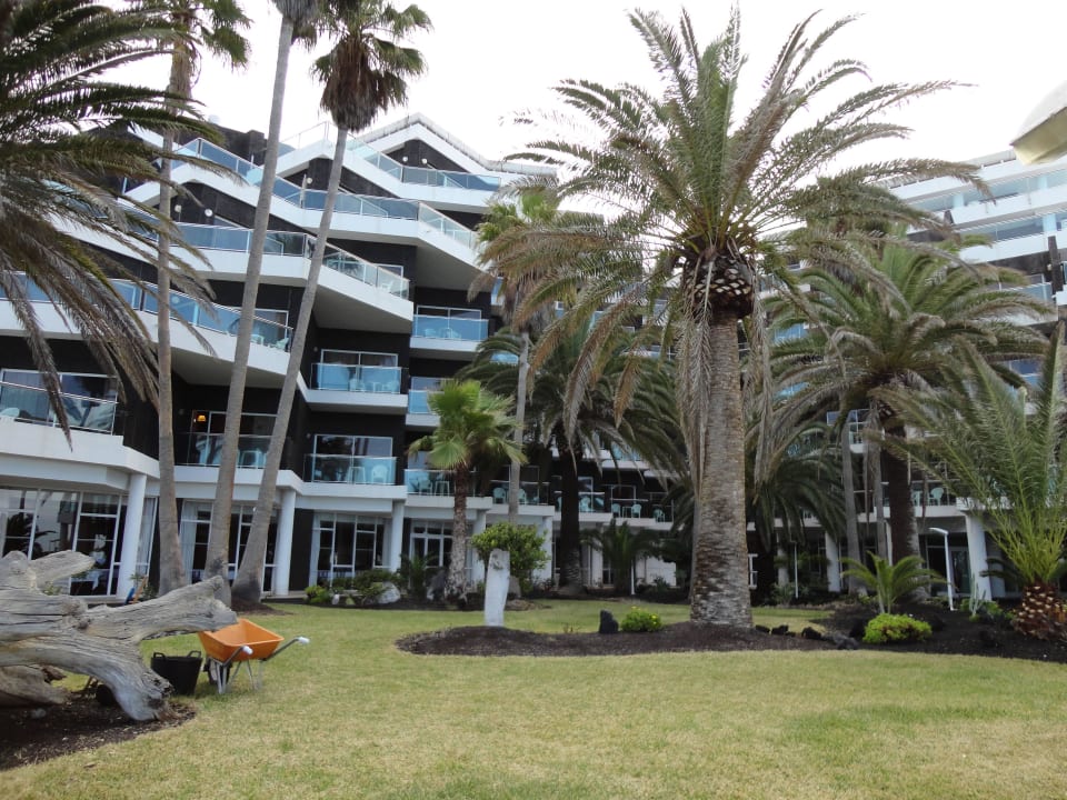 Von Liegewiese Melia La Palma Hotel